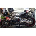 TUONO v4 TAIL SIGN LIVREA COMPATIBILE